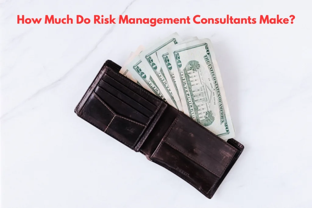 How Much Do Risk Management Consultants Make?